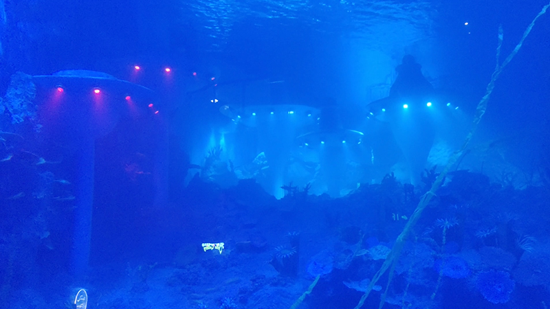 泳池水下燈深水安裝